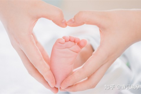 http://xuzhou.nbgk120.com/post/197.html|徐州捐卵费用