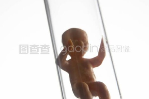 http://xuzhou.nbgk120.com/post/198.html|徐州捐卵价格